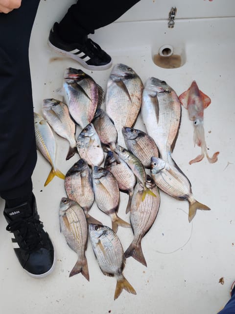 Fuengirola: Bottom Fishing with Jigging and Squid, 2, 4 and 6 hours - Choosing between 2, 4, and 6 hours