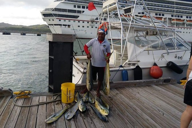 Full Day Big Game Fishing - Practical Booking Advice Before You Pay