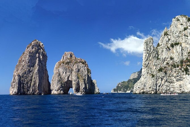 Full Day Fishing Tour in Sorrento - Is $1,209.30 per person fair value?