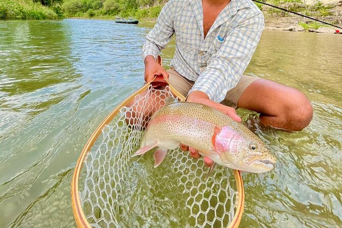 Full Day Guided Fishing Tour in Canyon Lake - The fishing day, from launch to return