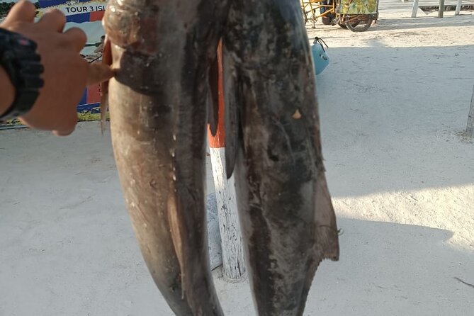Full Day Private Deep Sea Fishing in Holbox - Meeting Captain Andres, Josmar, or Jonny