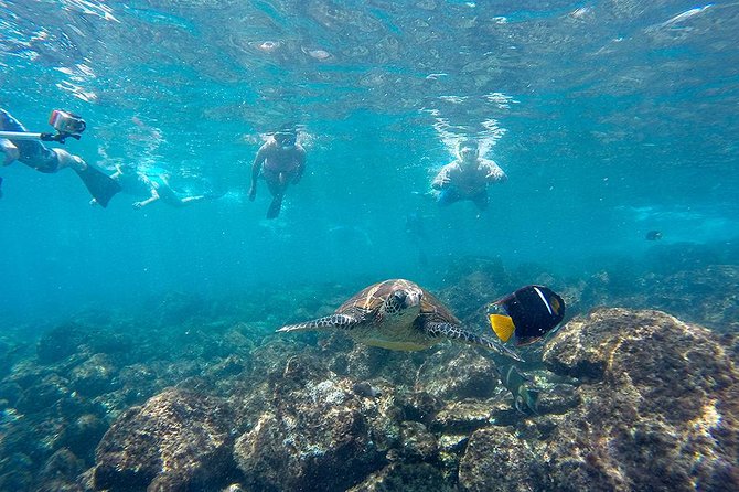 Full Day Tour Pinzon Island + La Fe/Las Palmas - Snorkeling & Fishing - The long ride to Pinzon Island