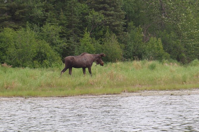 Full-Day Upper Kenai River Guided Fishing Trip - Clothing, Food, and Gear to Pack