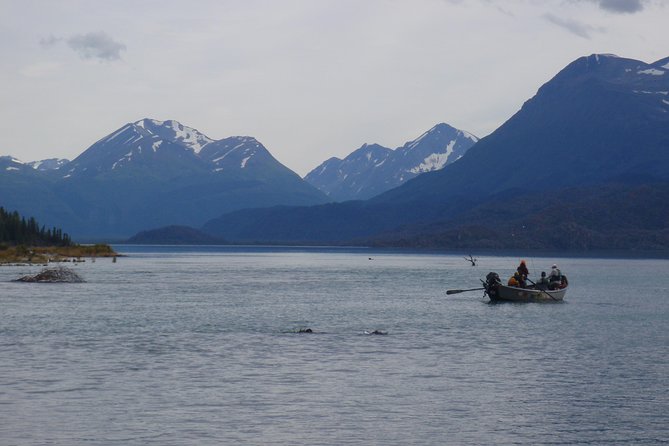 Full-Day Upper Kenai River Guided Fishing Trip - Who Will Get the Most From This Trip