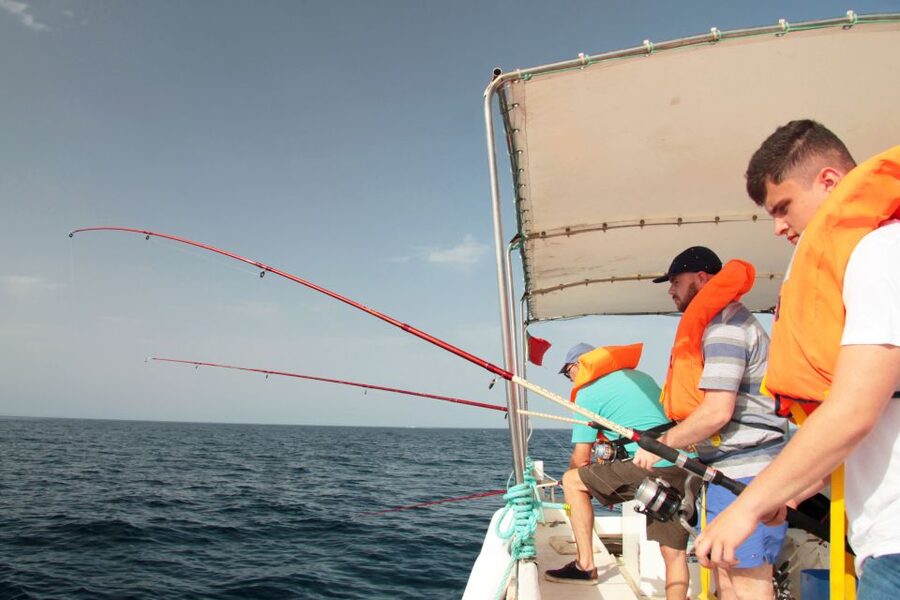 Fuzeta: 2.5-Hour Sport Fishing Tour - Fishing in the Algarve: patience is part of the deal