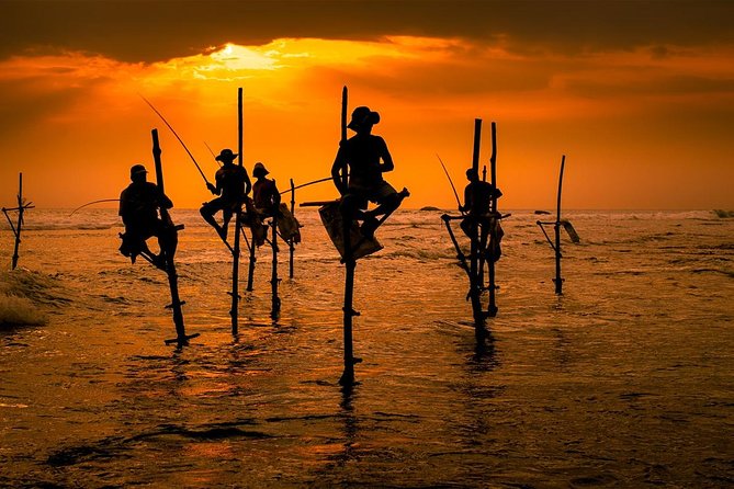 Galle Day Tour: Boat Safari, Dutch Fort, Stick Fishing & Turtles - Stilt fishing at Koggala