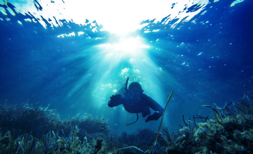 Gili Trawangan : Spearfishing with Catch & Cook Experience - Five things to know before you book