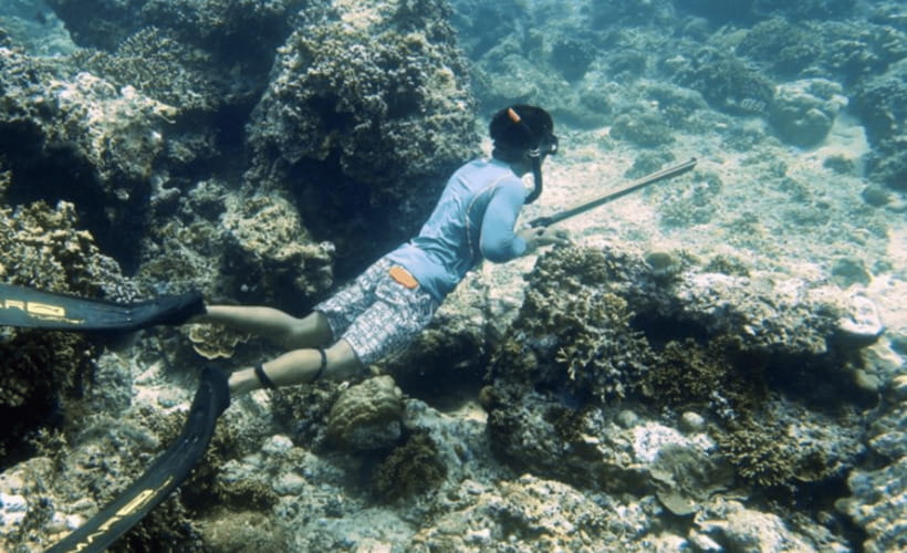 Gili Trawangan : Spearfishing with Catch & Cook Experience - Is $160 per person good value?