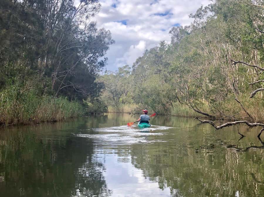 Gold Coast: Kayak Fishing Adventure - Key points to know before booking