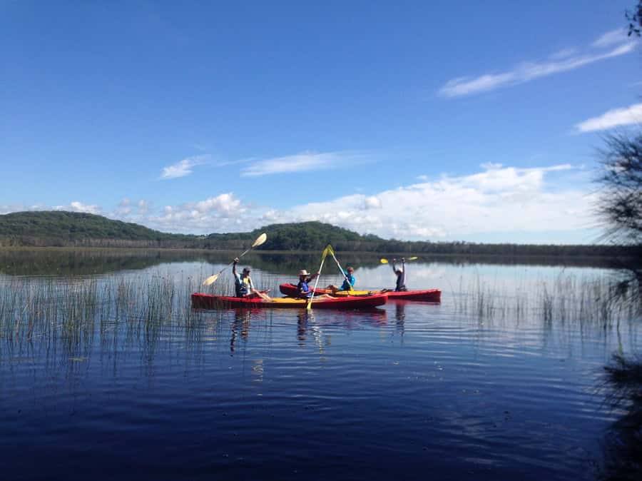 Gold Coast: Kayak Fishing Adventure - Fishing from a kayak, not just paddling past the scenery