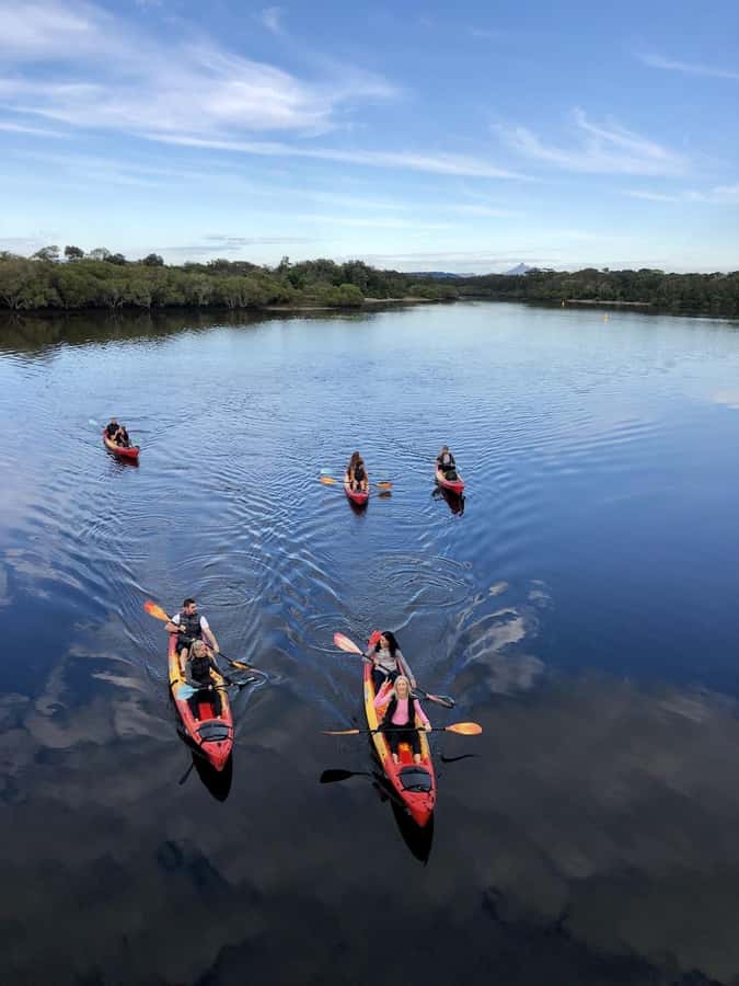 Gold Coast: Kayak Fishing Adventure - Practical packing advice for Cudgen Creek