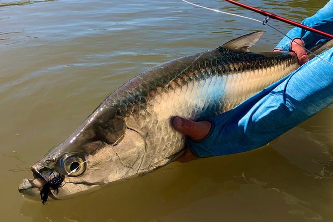 Golden Glare Fishing Charter with Experienced Captain - Fishing for Tarpon and other flats species
