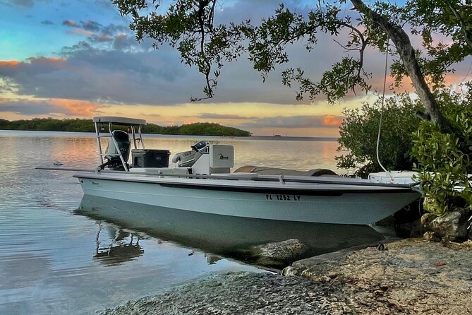 Golden Glare Fishing Charter with Experienced Captain - What the Everglades National Park stop adds