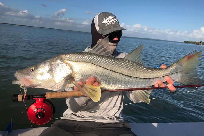 Golden Glare Fishing Charter with Experienced Captain - Equipment, fish cleaning, and the useful extras