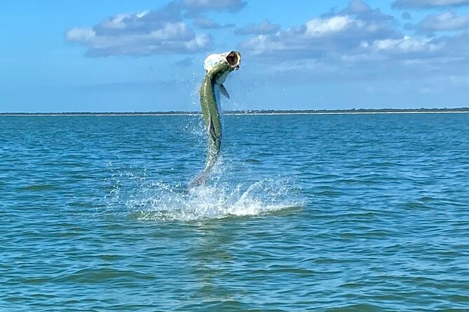 Golden Glare Fishing Charter with Experienced Captain - Is $650 a fair price for eight hours?