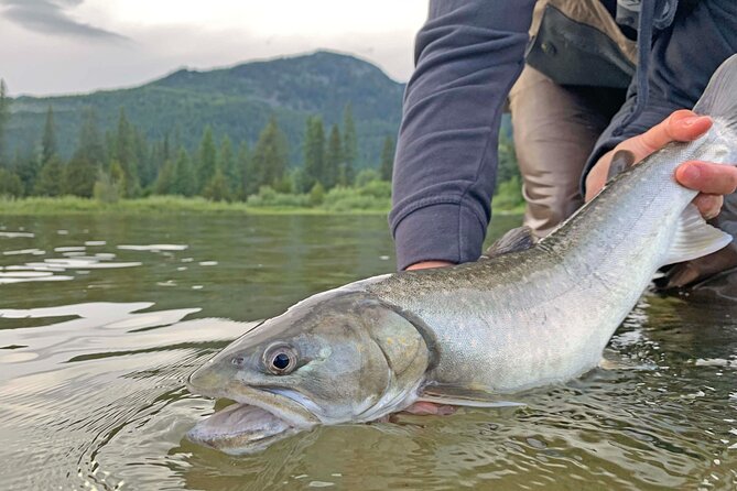 Guided Fishing Adventure in Whistler - The scenery may be the real highlight