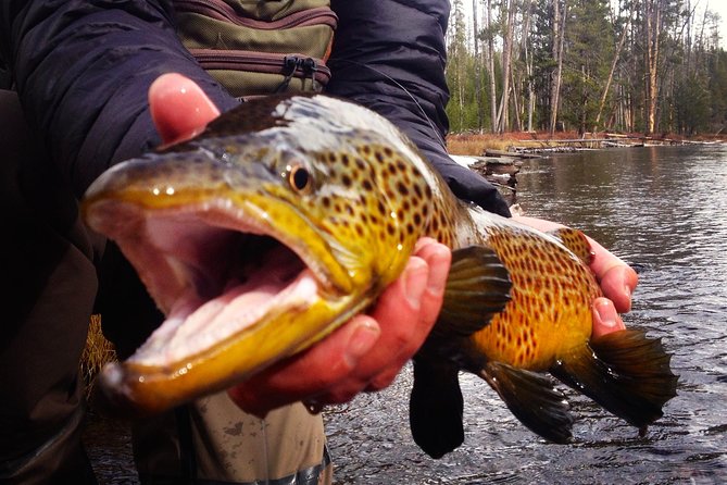 Guided Fishing Trip in Jackson Hole - A private fishing day near Jackson Hole