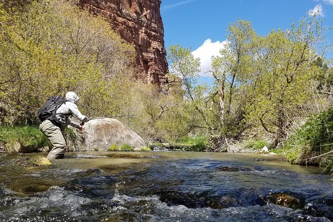 Guided Fly Fishing Experience in Park City - What the $260 Price Really Covers