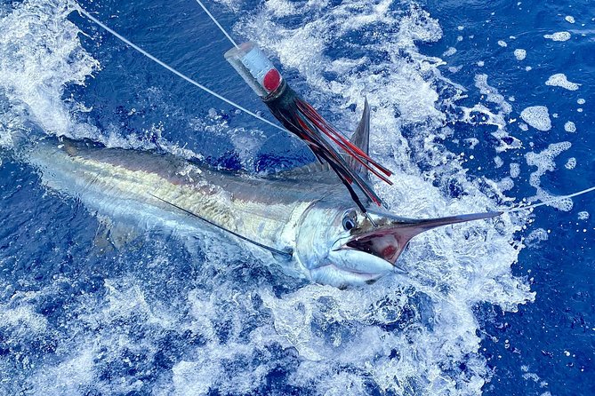 Half Day Afternoon Angler Charter - Leaving Finger Pier J-8 at 11:00 am