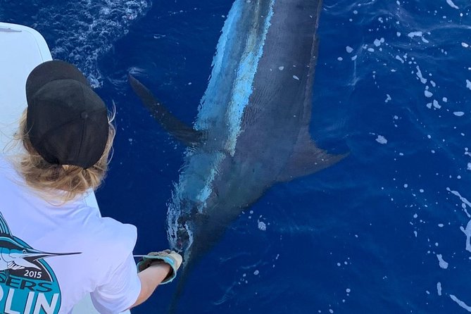 Half Day Afternoon Angler Charter - Gear, cooler, food, and drinks