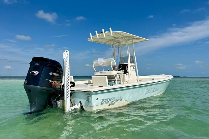 Half-Day Backcountry Fishing Charter from Key West - Mangrove islands and backcountry variety