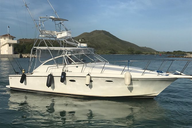 Half Day Big Game Fishing private charter - Setting out on the 34-foot Trojan