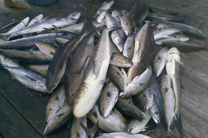 Half-Day Deep-Sea Fishing at Riviera Beach - What to bring for a comfortable four hours