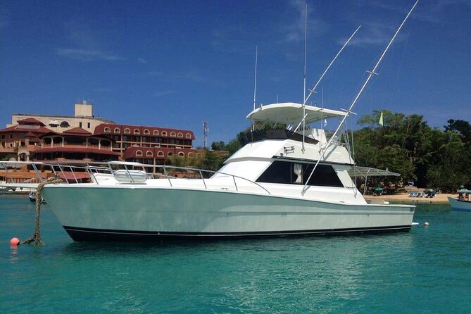 Half-Day Deep Sea Fishing Excursion Departing sosua - Guides, language, and the practical side of service