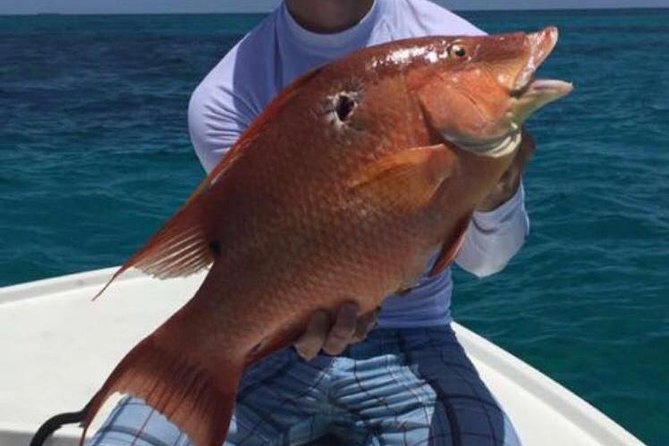 Half day Deep sea/light tackle fishing charters - Weather, Waves, and the Limits of Fishing