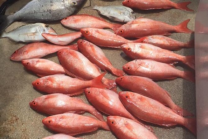 Half-Day Fishing Trip in Fort Lauderdale - Four hours of instruction, fishing, and coastal views