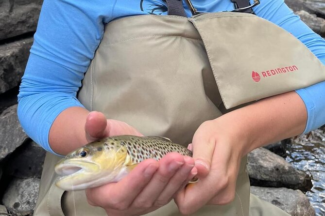 Half Day Fly Fishing Lesson on Clear Creek near Denver - Trout, scenery, and the chance to catch fish