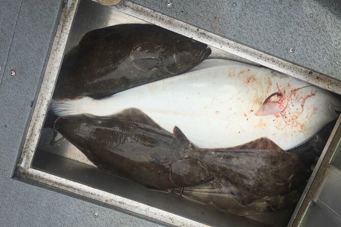 Half Day Halibut Fishing - Capt. Eric and Alice set the tone