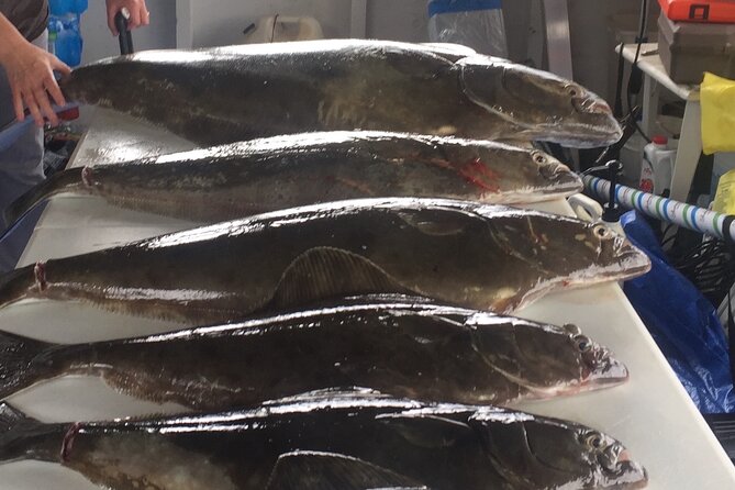 Half Day Halibut Fishing - The small group makes a difference