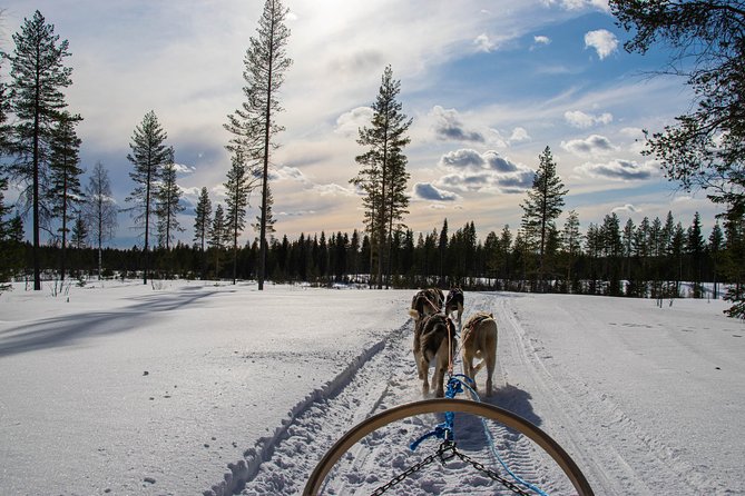 Half-Day Husky Safari and Salmon Ice Fishing Experience - What to wear and how to prepare