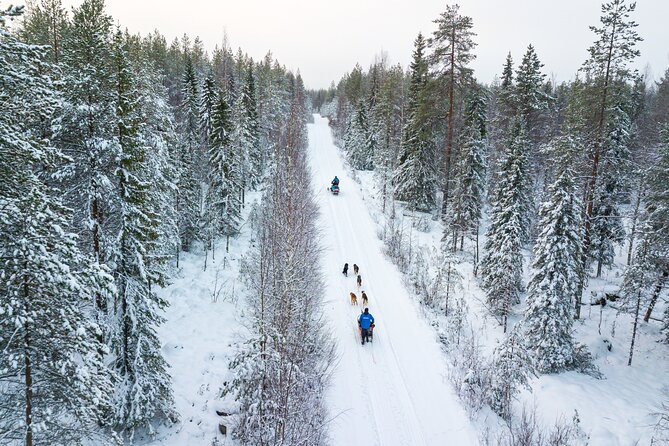 Half-Day Husky Safari and Salmon Ice Fishing Experience - Who will enjoy this tour most?