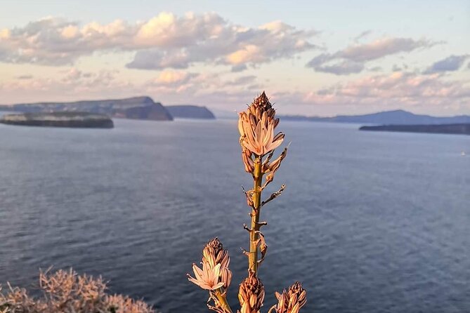 Half-Day Inland Fishing Tourism Morning Tour with Lunch - Why this Santorini tour feels different