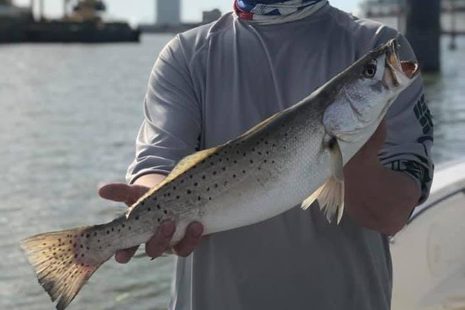 Half-Day Jetty Fishing Trip from Galveston - Who will enjoy this Galveston fishing trip
