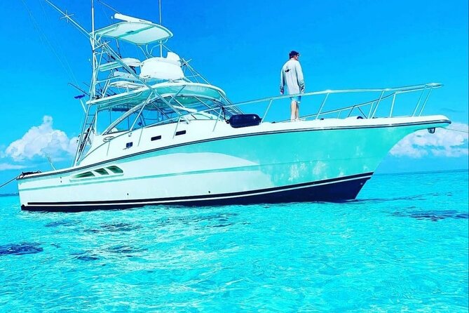 Half Day Luxury Private Fishing Charters in Cayman Islands - Fresh tuna ceviche, if the catch cooperates