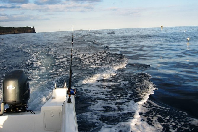 Half-Day Private Coastal Fishing Escape - A guide who can adjust to your fishing level