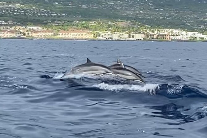 Half Day Private Cruise Tour with Snorkeling and Fishing in Kona - Snorkeling time, comfort, and expectations