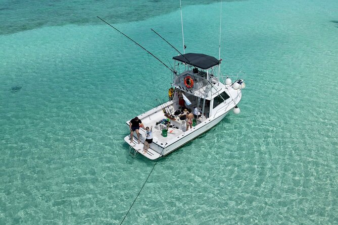 Half Day Private Fishing Charter in Cozumel - El Cielo: a welcome change from the fishing lines