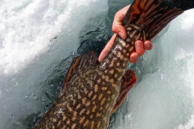 Half Day Private Guided Ice Fishing Trip in the Yukon - Four hours built around fishing, not rushing