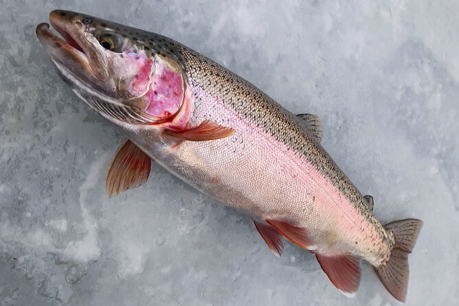 Half Day Private Guided Ice Fishing Trip in the Yukon - Is $209.30 per person a fair price?
