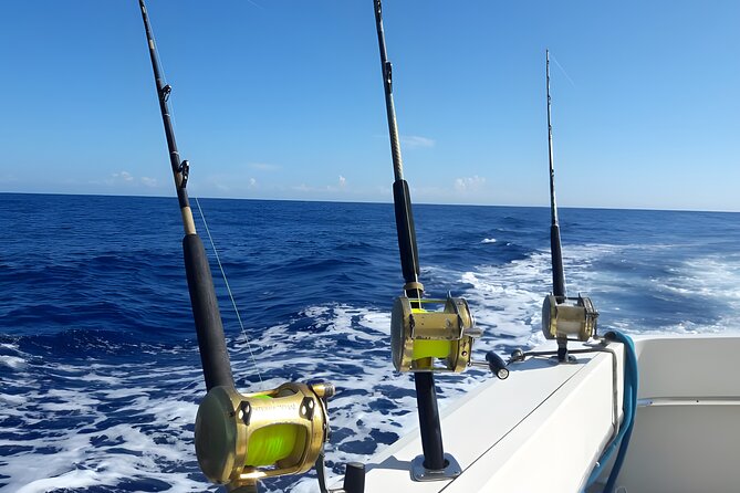 Half Day Sport Fishing Excursion Departing from Sosua - Starting early from Cabarete