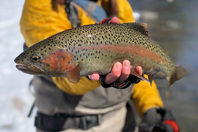 Half Day Walk and Wade Fly Fishing Trip - Key Things to Know Before You Cast