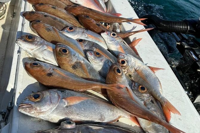Half-seabed or rod fishing tour with bolentino - Ortigia from the water, one landmark at a time
