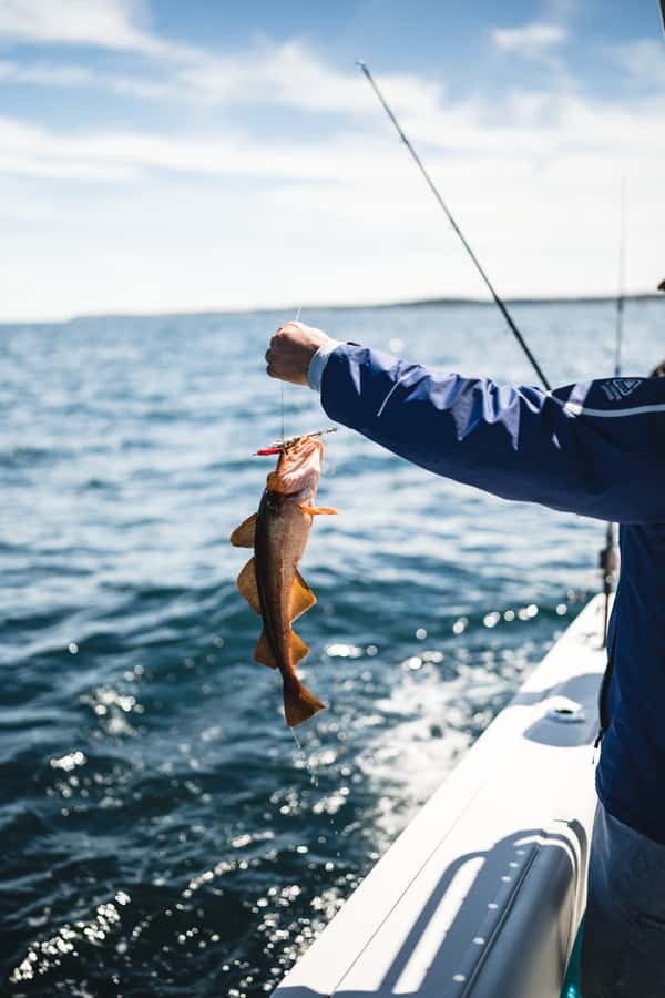 Halifax: 2-Hour Deep Sea Fishing Tour - Captain Carter And The Human Side Of The Trip