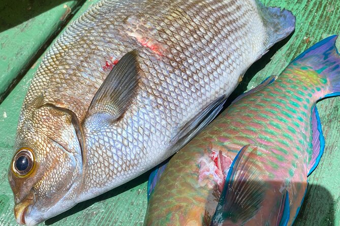 Hawaiian Reef Spearfishing Lesson for Beginners on Kauai - What makes this Kauai activity different