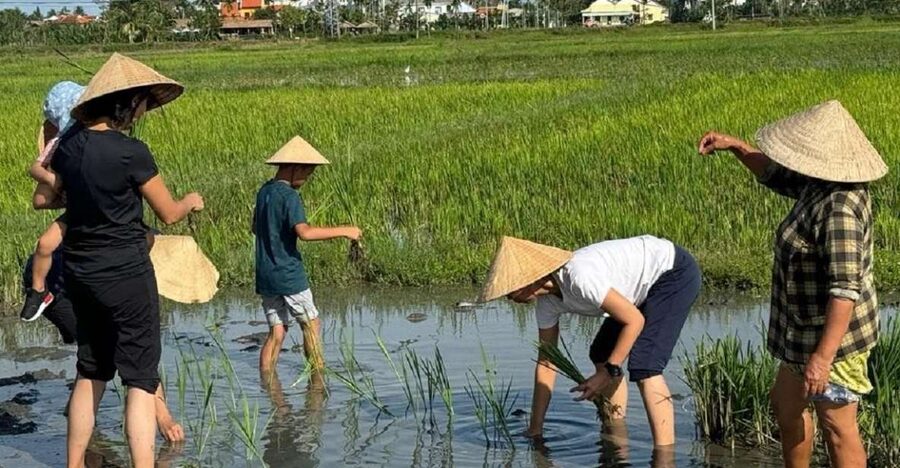 Hoi An:Cycling,Traditional Farming & Fishing Life Experience - Starting from Hoi An or Da Nang