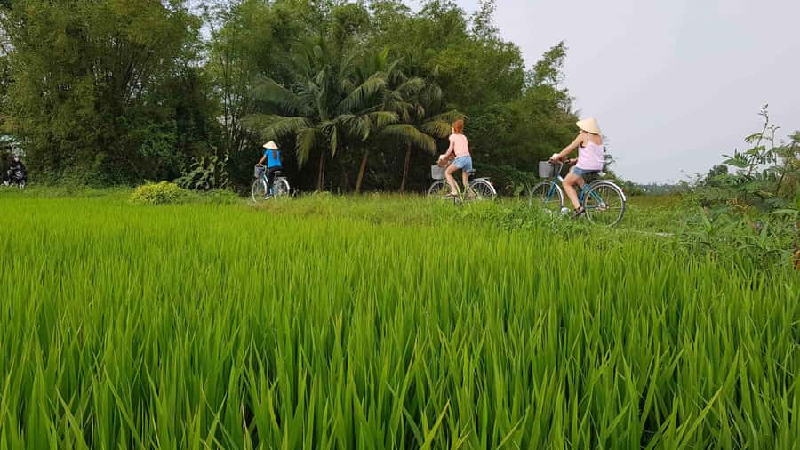Hoi An : Eco Bicycle Tour with Fishing and Lunch/Dinner - Key Points at a Glance